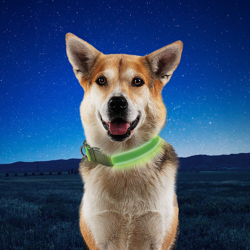 Nite Ize NiteDog Rechargeable LED Collar - Light Up Dog Collar with Durable Metal Buckle - Water-Resistant & Rechargeable Collar - Dog Supplies for Night Activities - Large, Lime - Image 5